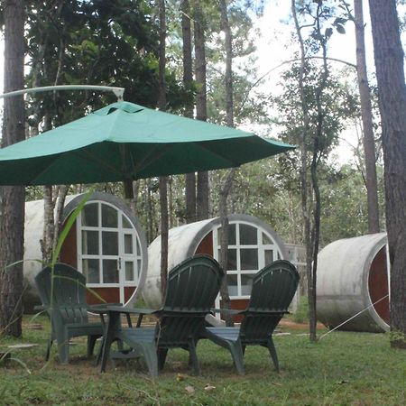 Vkirirom Pine Resort Chambak Dangkom Eksteriør billede