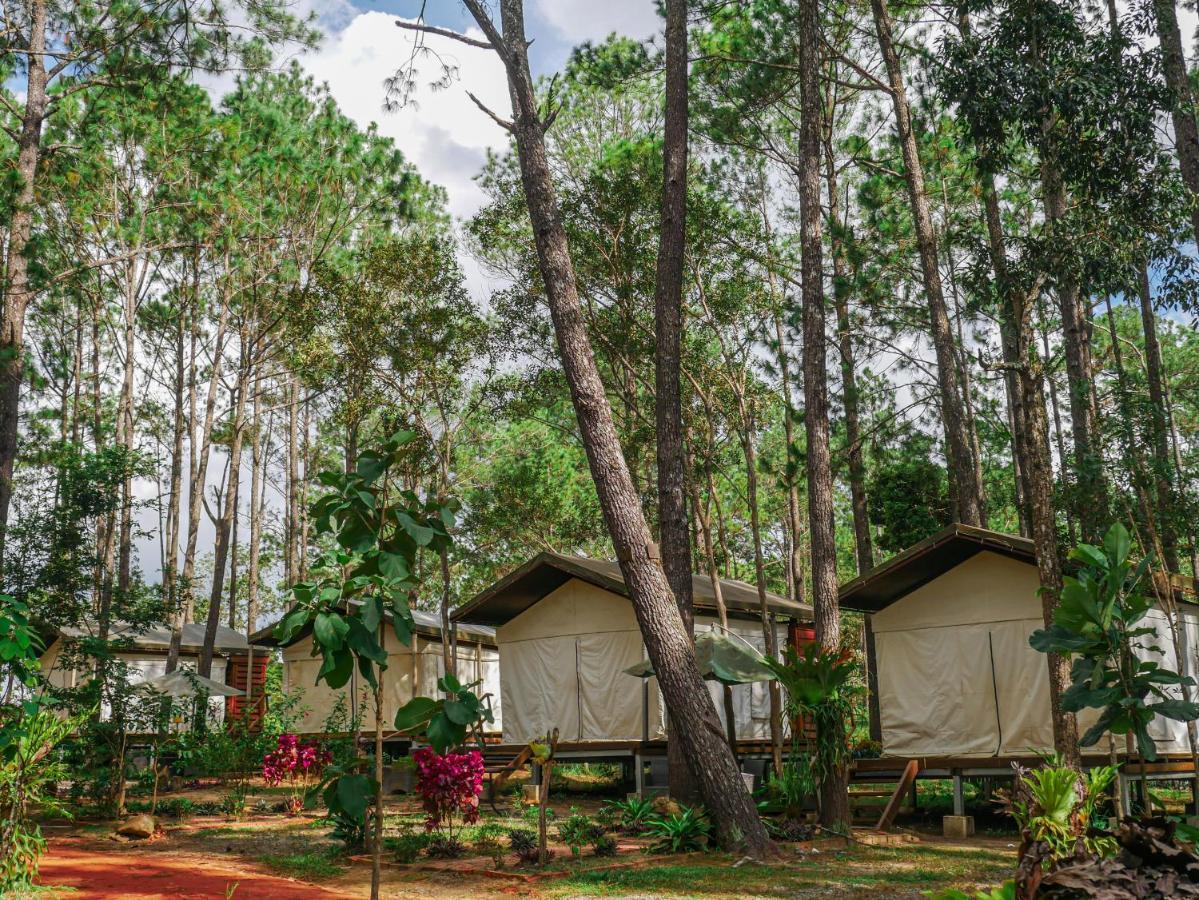 Vkirirom Pine Resort Chambak Dangkom Eksteriør billede